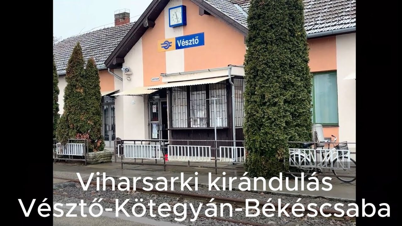 Viharsarki kirándulás: Vésztő-Békéscsaba - havazással, őzikékkel...