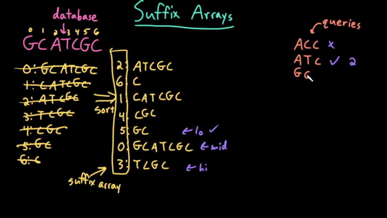 Advanced Data Structures: Suffix Array Search