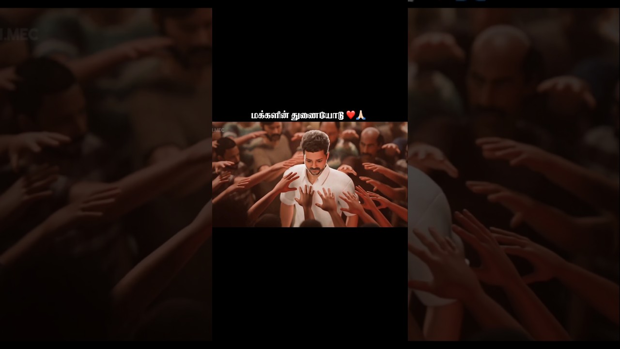 நாங்கள் நம்பும் ஒரே தலைவன்💯❤️ #thalapathyvijay #tvk #vijay #viral #tvkvijay