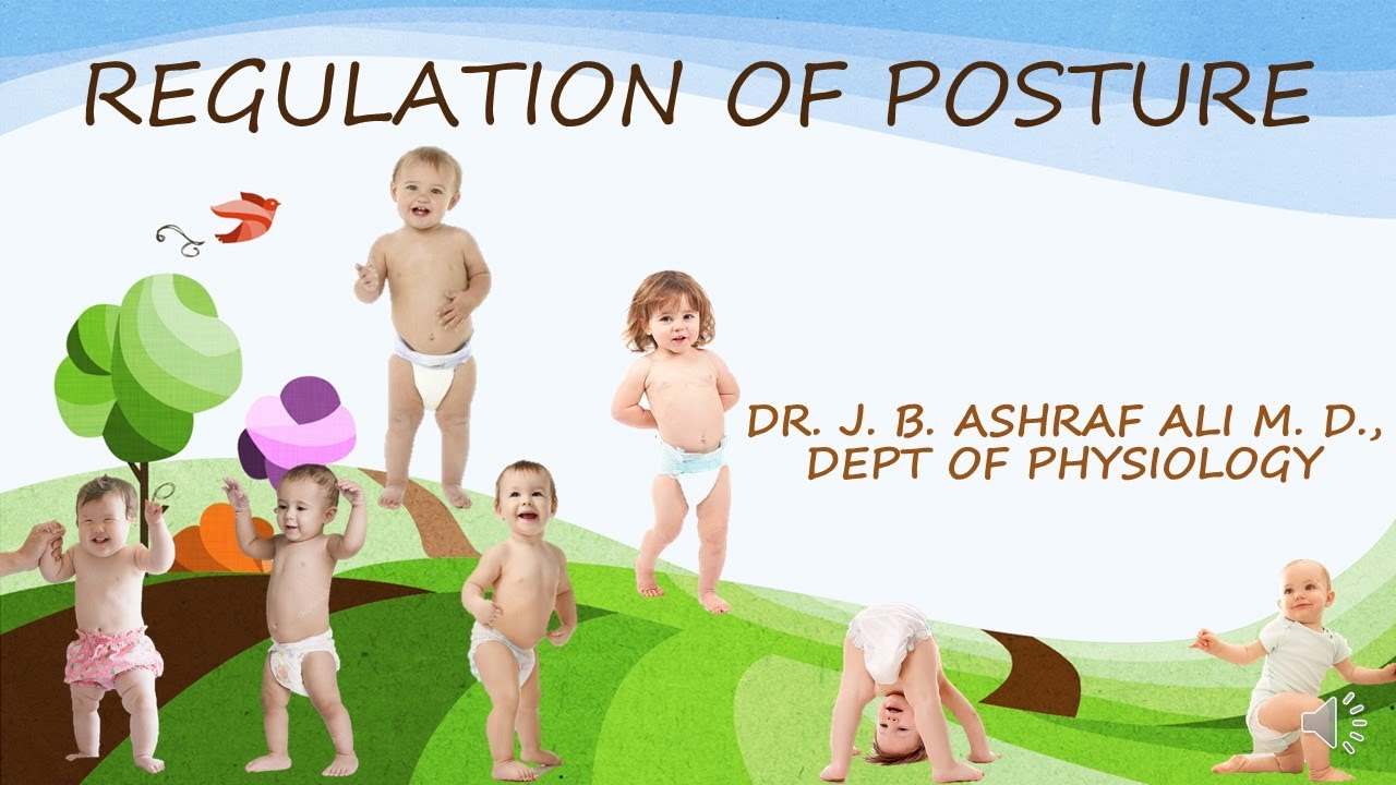 Regulation of Posture by Dr. J.B. Ashraf Ali M.D.,