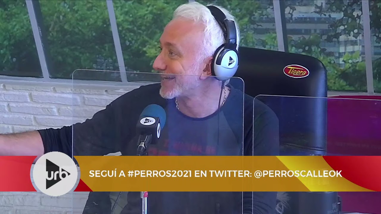 Segunda Opinión en Perros de la Calle | 24/05