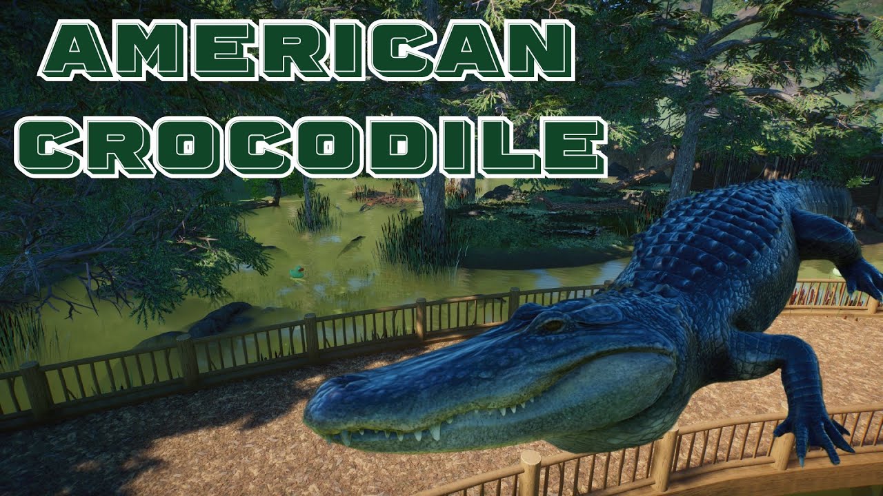Swamp area | American Crocodile Habitat | Planet zoo | Speedbuild
