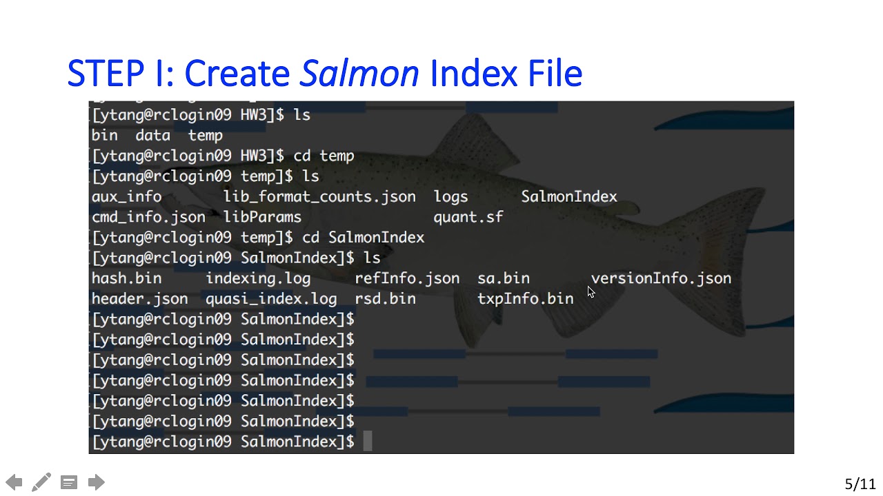 Salmon Tutorial by Yushi Tang (Felix)