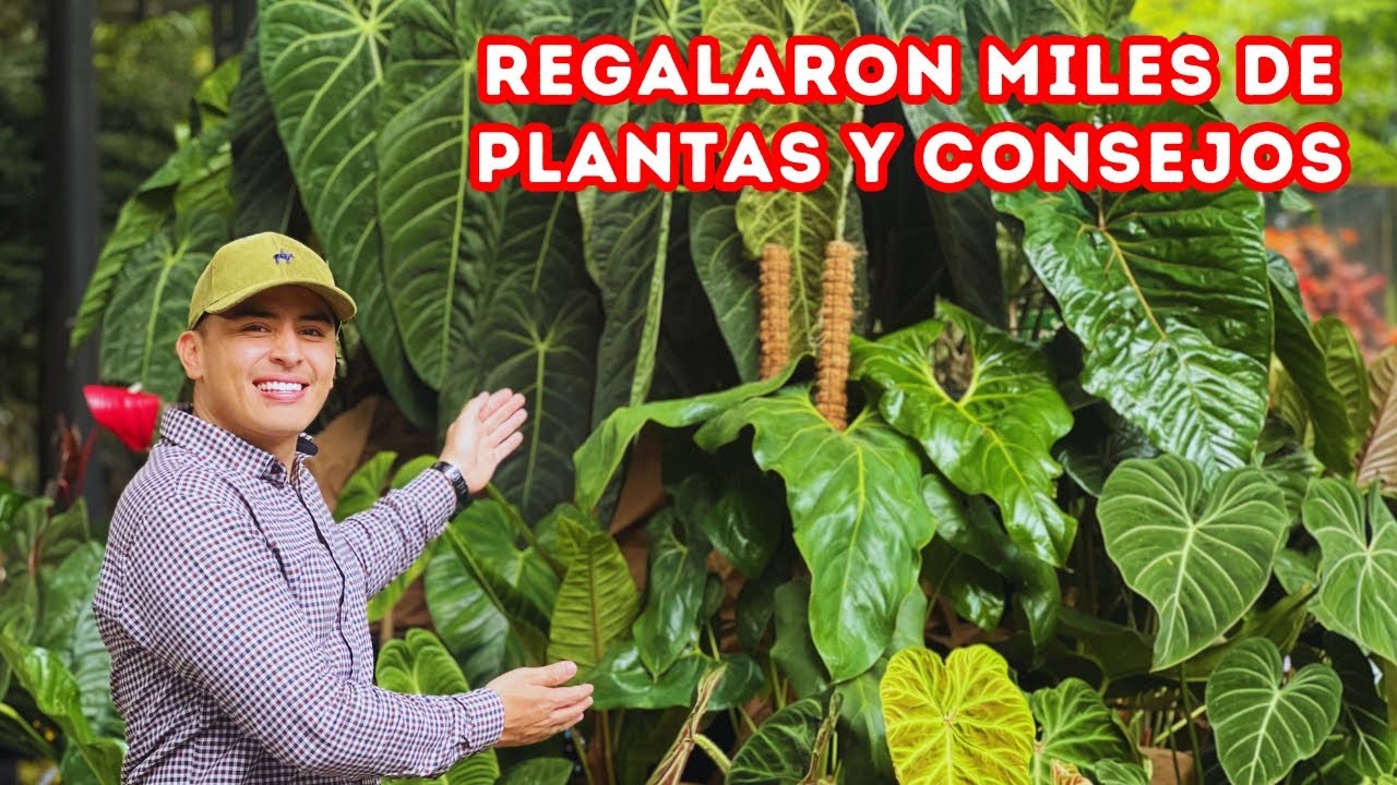 Todos los JARDINES y SECRETOS del campo colombiano en UN SOLO LUGAR, Feria de Flores |AP