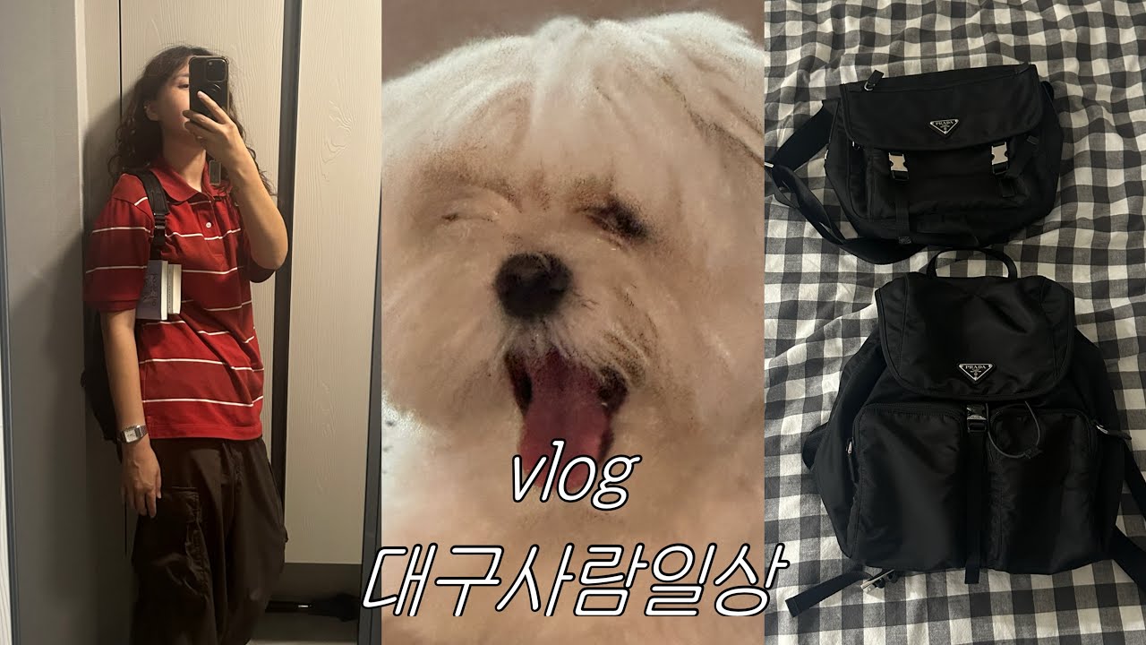 [vlog] 대구사람일상 | 대전현대프리미엄아울렛에서 프라다득템 | 대전 간 김에 성심당은 가야지 | 마그넷헤어에서 잃어버린 남편을 찾다 | 강아지산책 하다 끝나는 평일