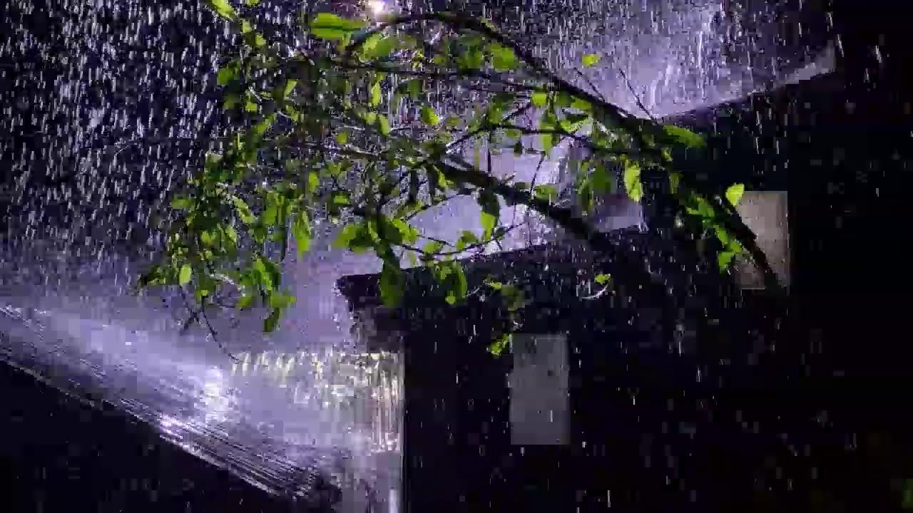 Night Rain on Tin Roof 🌙 Sleep Calm and Deep