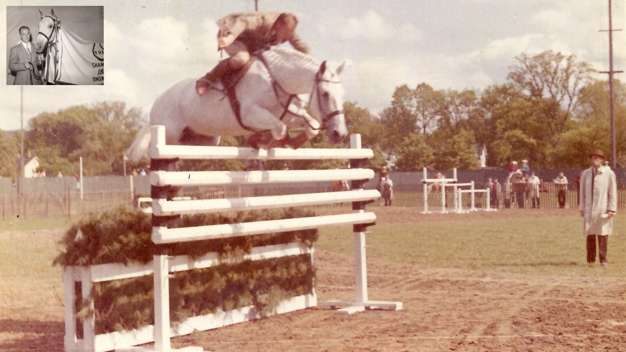 From $80 to Legend: Meet Snowman, the Champion Show Jumping Horse Who Conquered America!