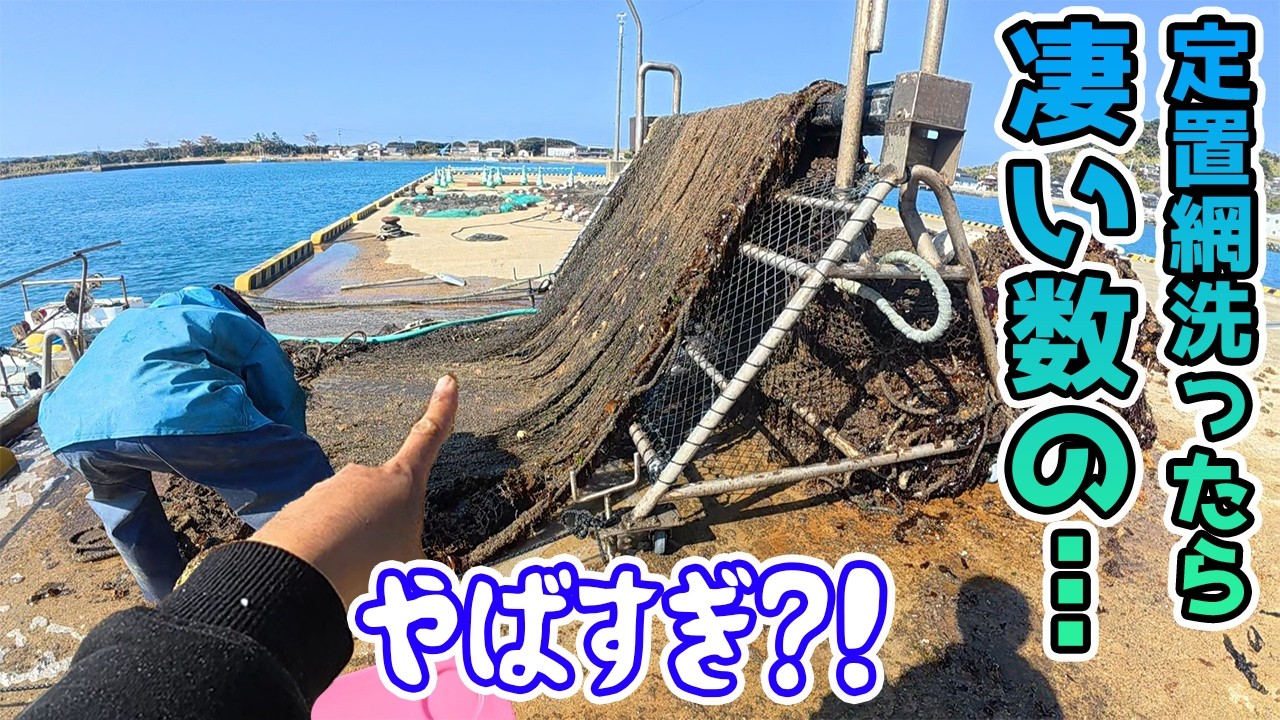 定置網にこんな事が?!テンション爆上げ！?そして結果的に大爆釣だった！！！