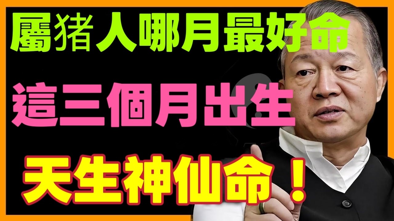 屬猪最喜哪個月？這幾個月份出生的屬猪人，其實是天生的神仙命！快看有你嗎？#命理#生肖#运势#財運 #十二属相 #曾仕強 #補財庫旺財氣 #運勢 #易经