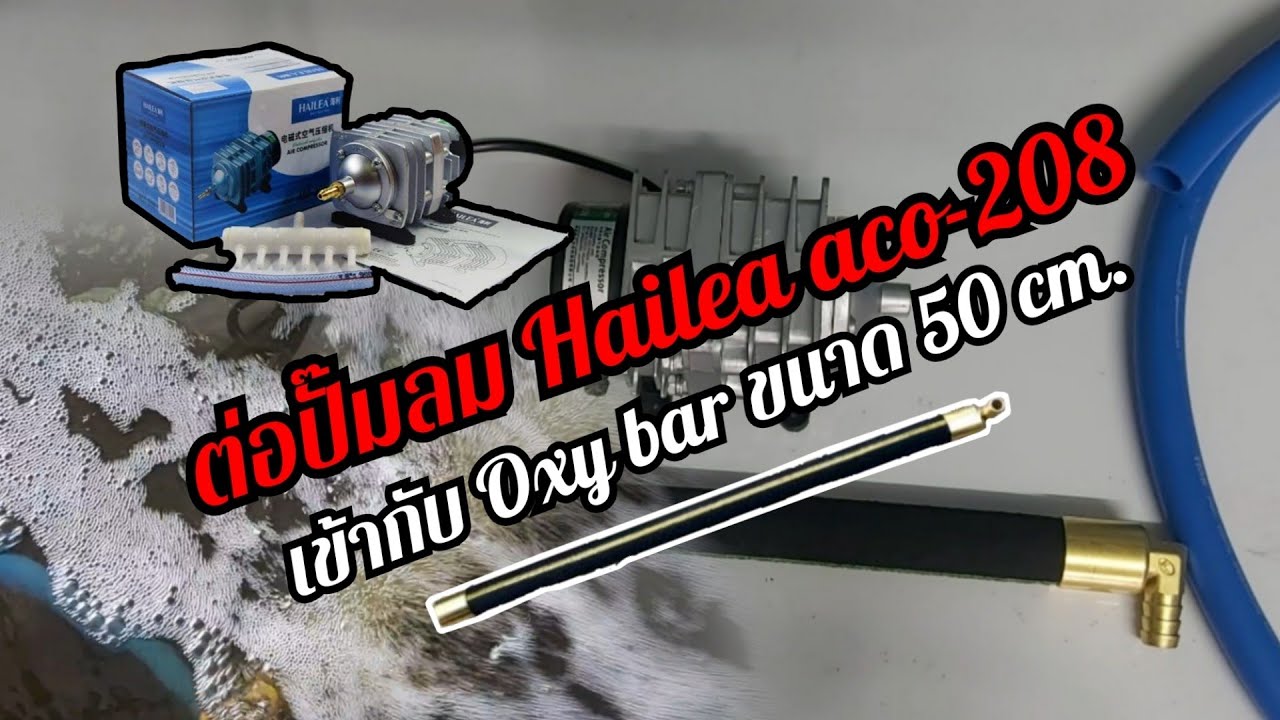 วิธีการต่อปั๊มลม Hailea aco-208 เข้ากับ Oxy bar ง่ายๆ ออกซิเจนไล่หน้าน้ำ | KOI Collection | EP.17