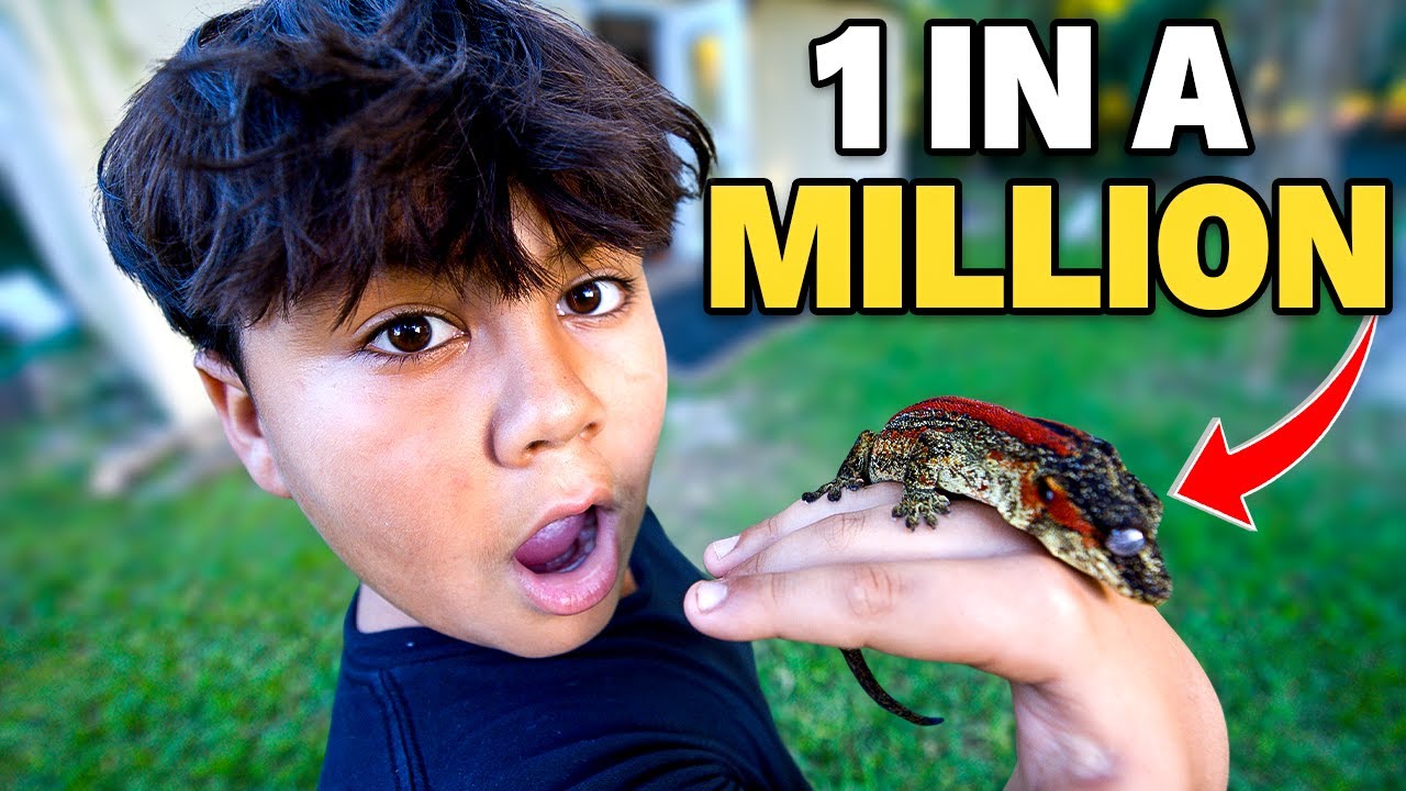 The RAREST REPTILE COLLECTION In The WORLD!