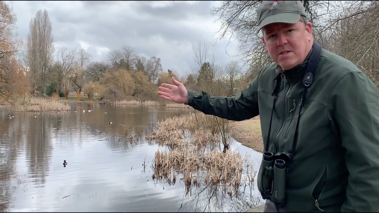 Let's go birding: early March field trip, Vancouver BC