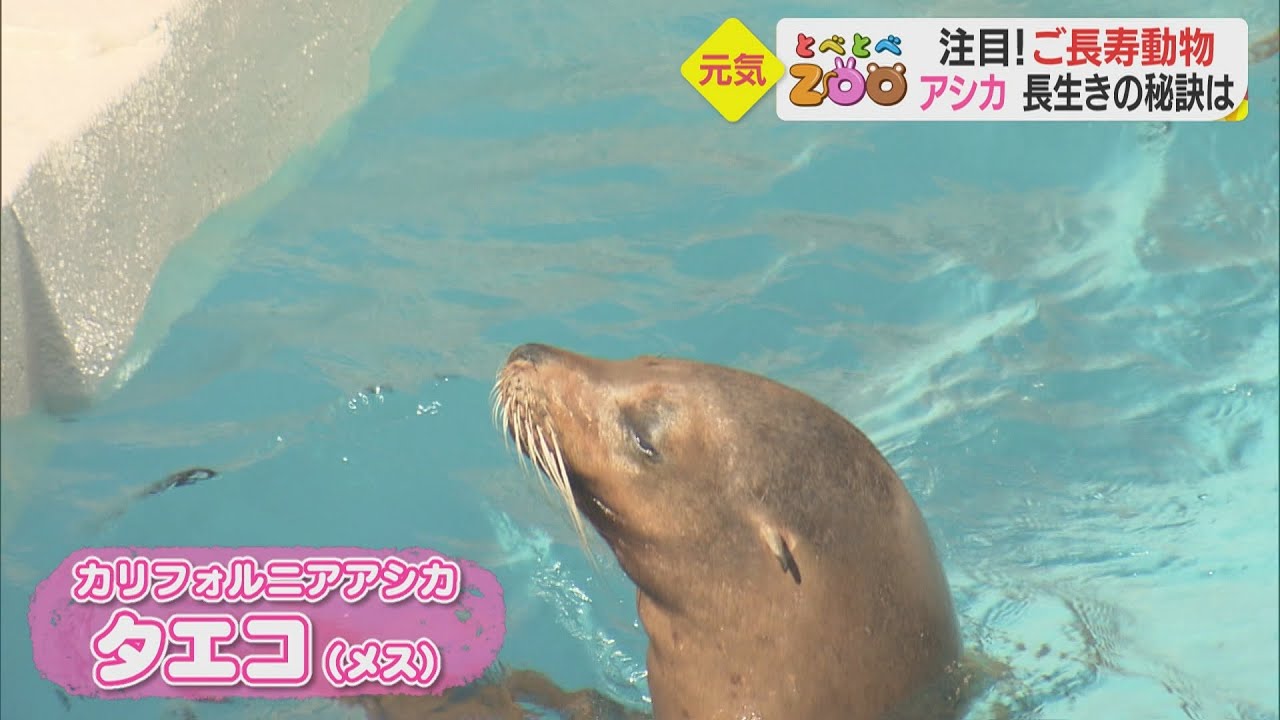 とべとべZOO～ご長寿動物～