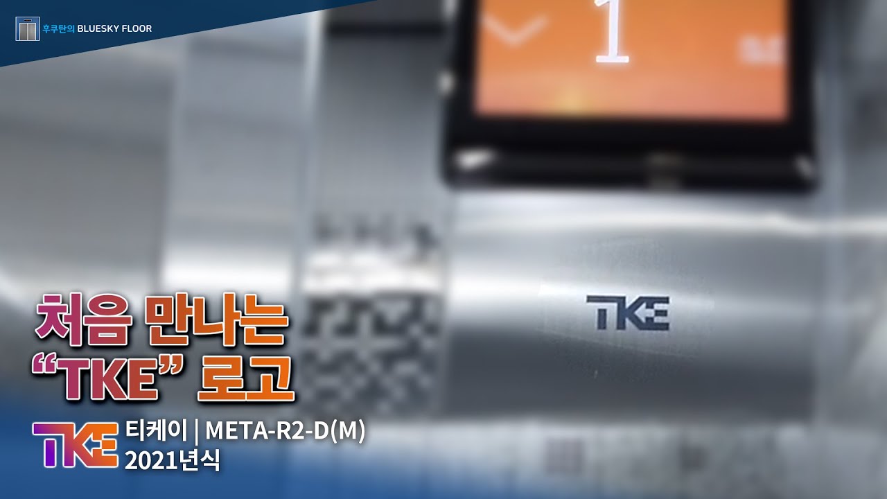처음 만나다. 새로운 이름 