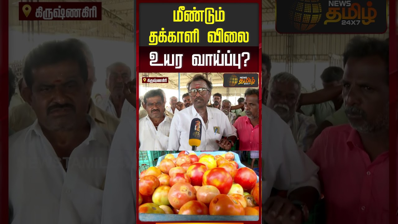 மீண்டும் தக்காளி விலை உயர வாய்ப்பு? | TomatoPrice | MarketPrice