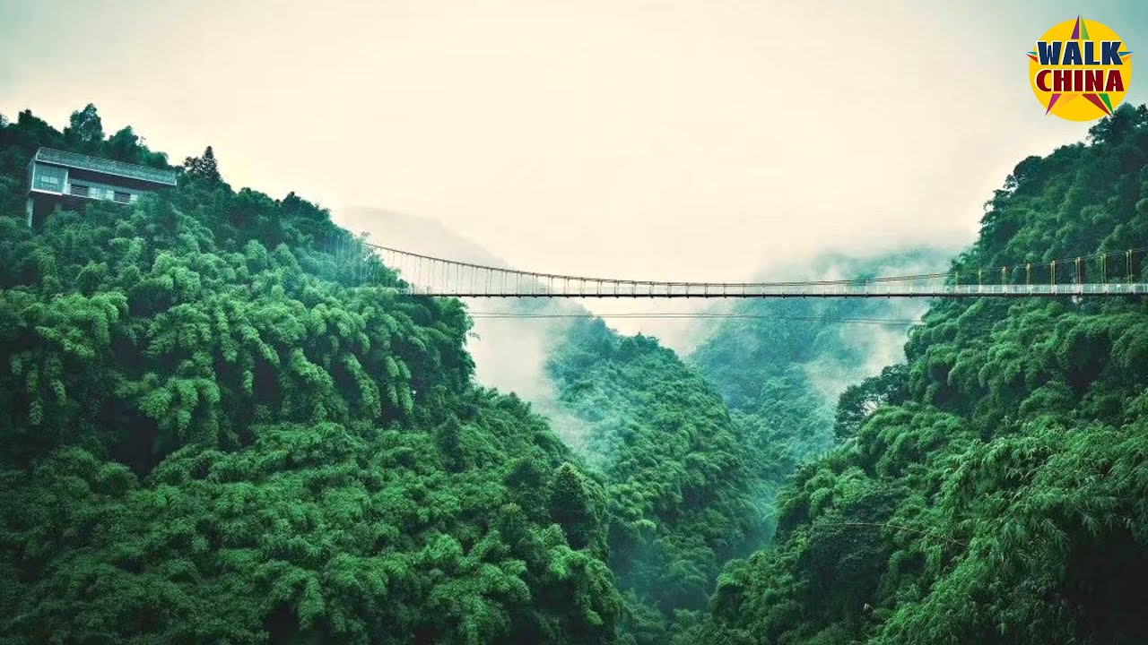 Walk China Beautiful Bamboo Forest Wonderland - China Travel | Sichuan