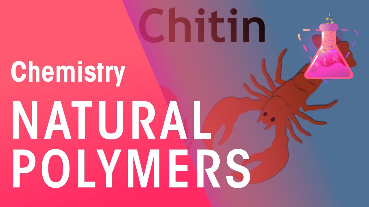 Natural Polymers | Organic Chemistry | Chemistry | FuseSchool