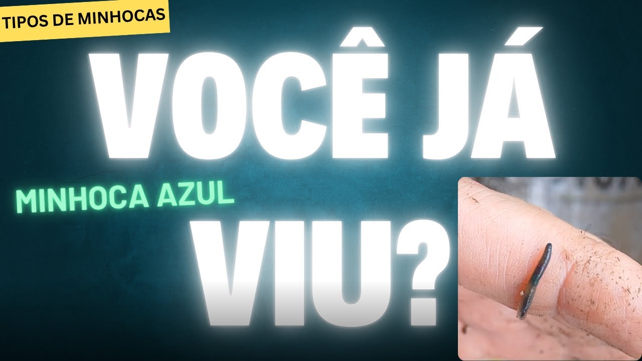 Minhoca Azul no Minhocário: Espécie Rara com Cor Inusitada Aparece na Compostagem