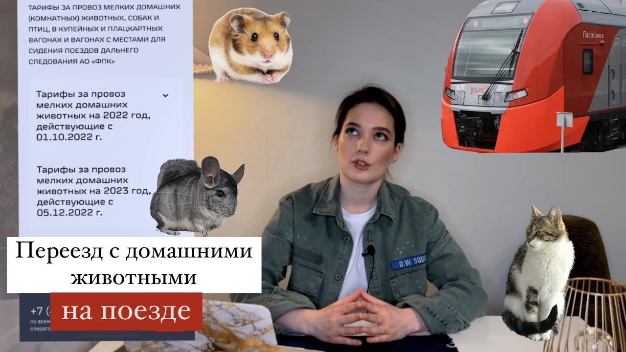 Переезд с домашними животными на поезде!
