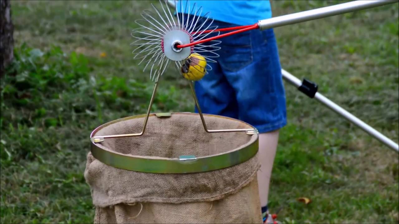 Feucht-Obsttechnik - Roll-Blitz Apple Harvester