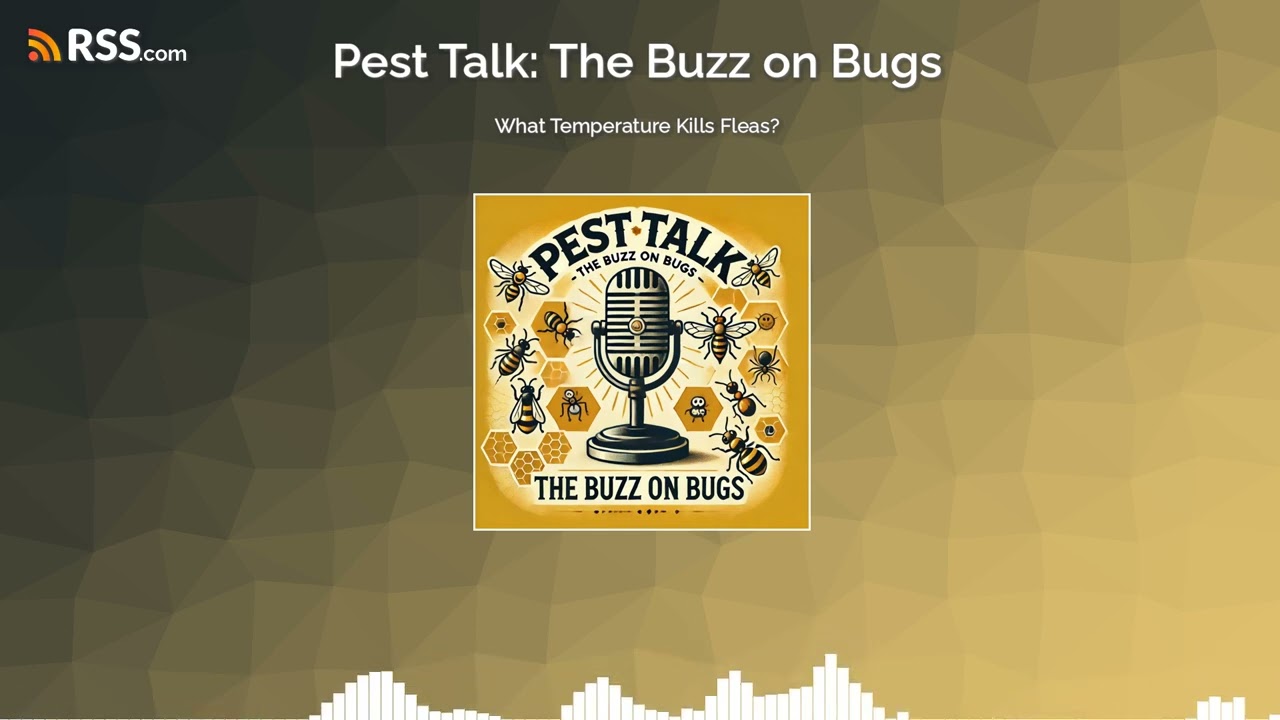 What Temperature Kills Fleas?