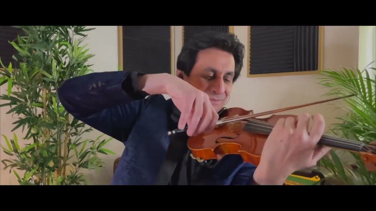 CAN'T HELP FALLING IN LOVE - Violin cover by David Giardino