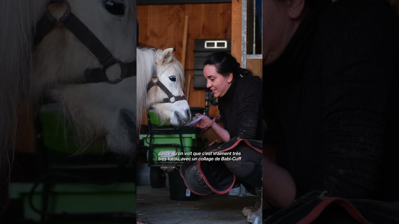 🎥 Premiers soins orthopédiques pour Granola 🦄