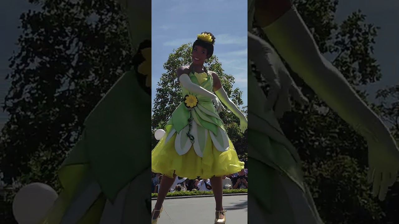 A million splashes of colour magnifique temp