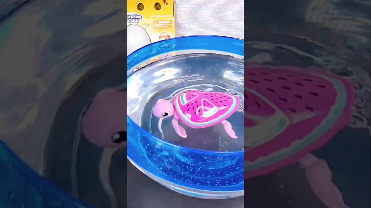Little Live Pets TURTLE 🐢 ❤️ ##asmrtoys #toys