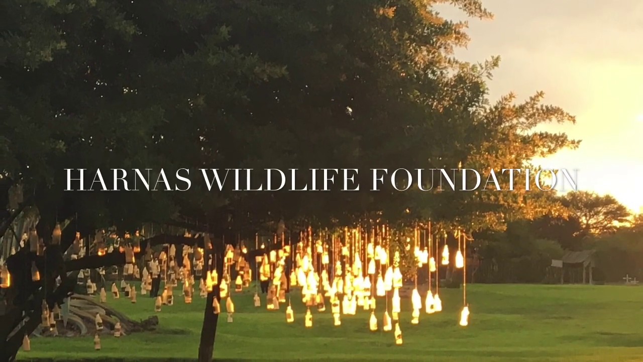 Harnas Wildlife Foundation