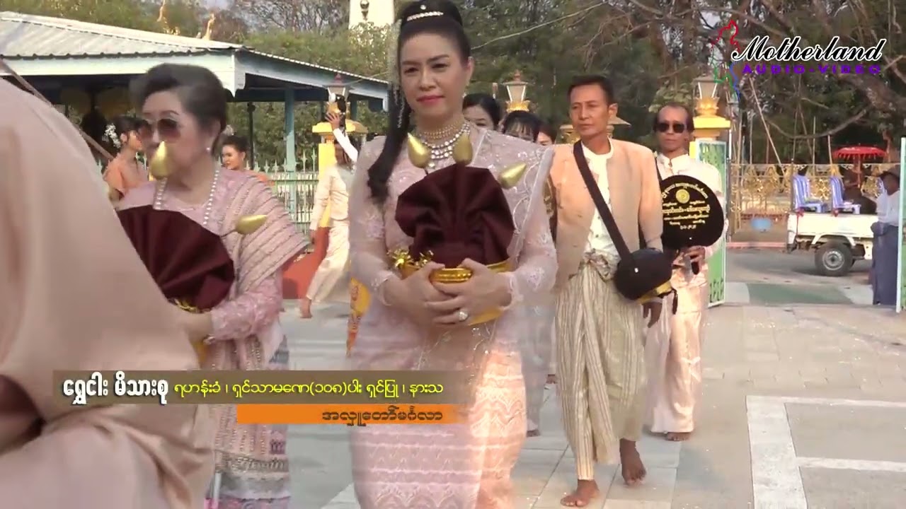 Gold Fish Family Ahlu  1