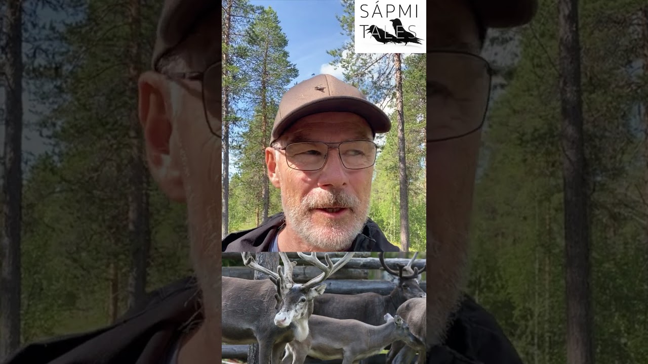Samisk arkeologi