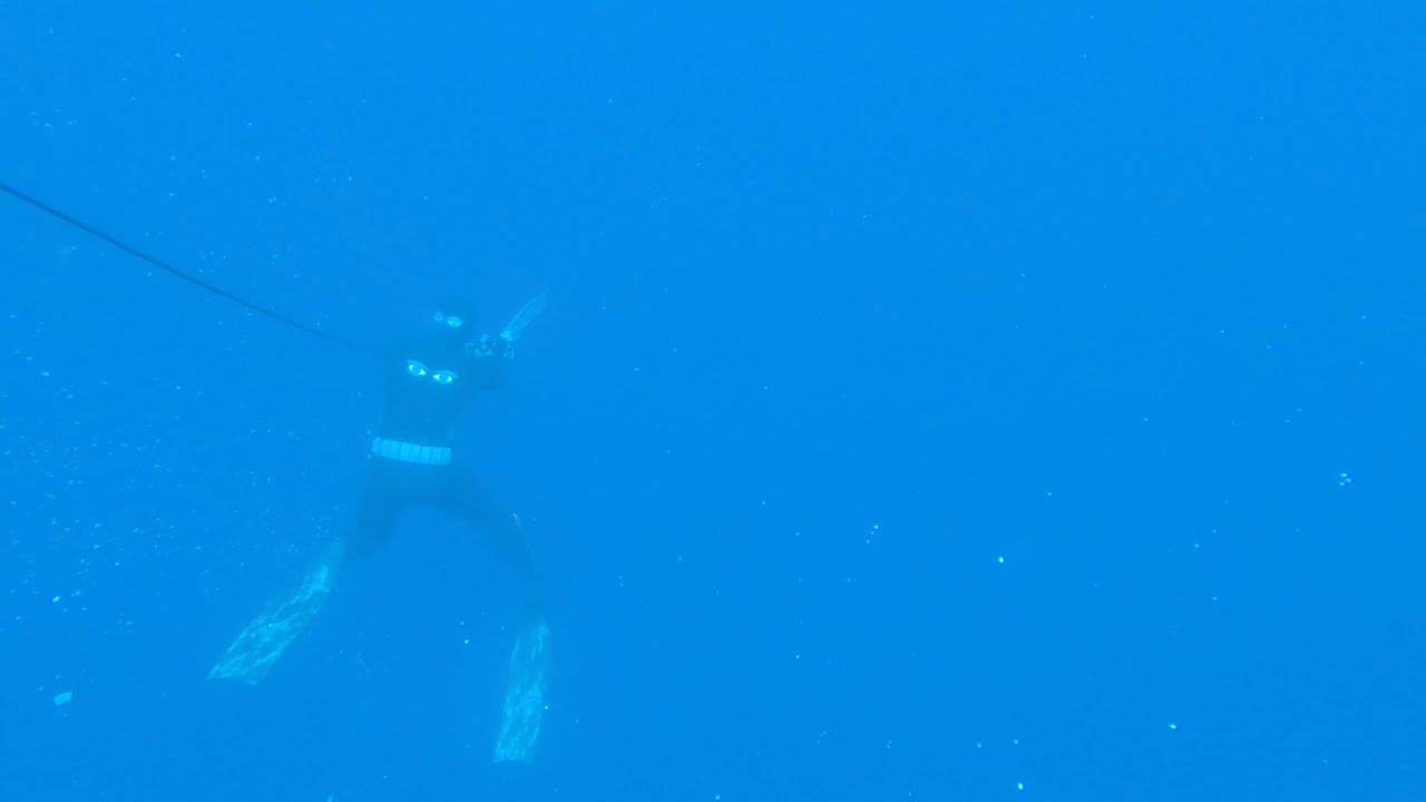 Spearfishing Yellowfin Tuna in Cape Town South Africa