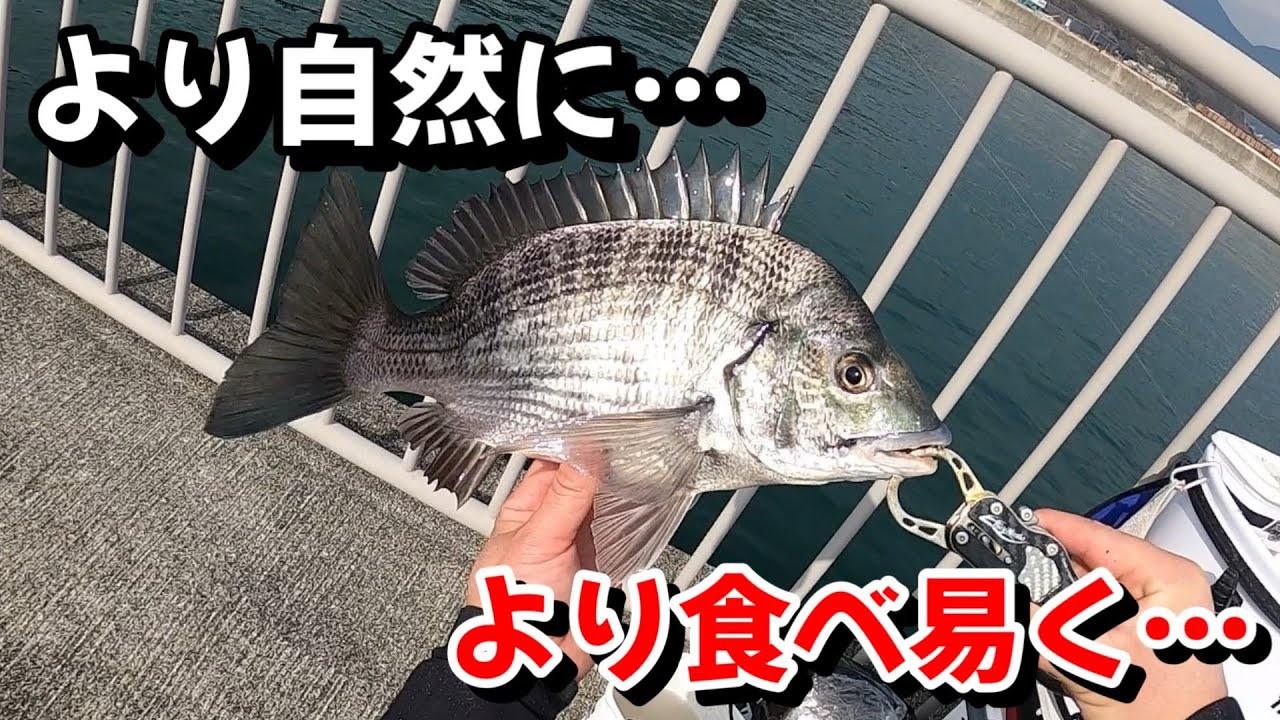 【紀州釣り】寒チヌ攻略！？　より自然に、より食べ易く