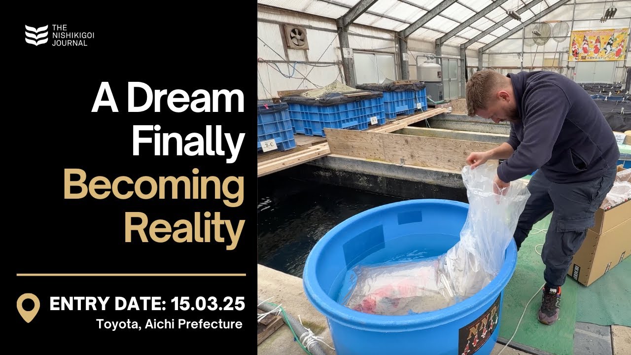 The Start of a Game-Changing Koi Journey | T.N.J. | EP #083