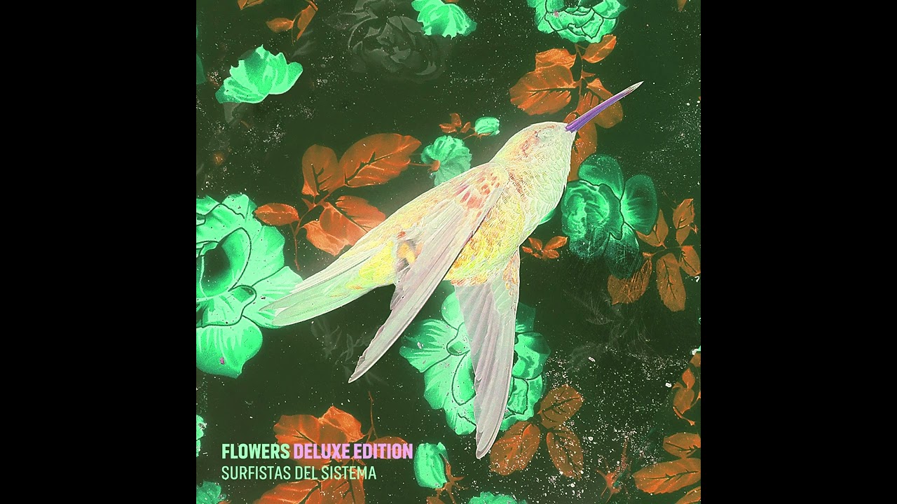 Surfistas del Sistema - Flowers 