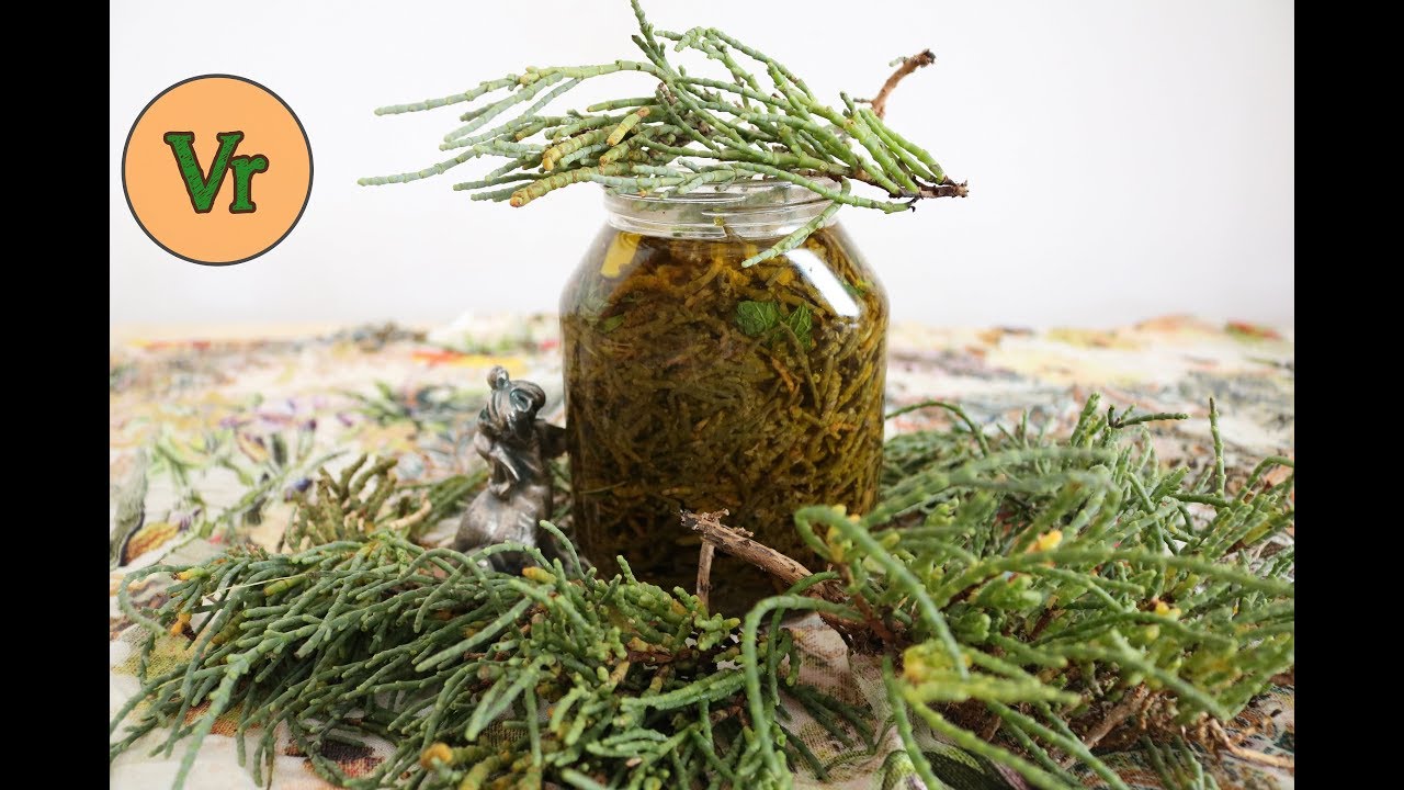 Comment cuisiner, nettoyer et conserver la salicorne | Salicorne sous huile | Salicornia europaea