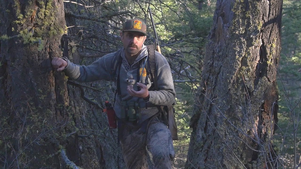 EatWild - Still Hunting Techniques
