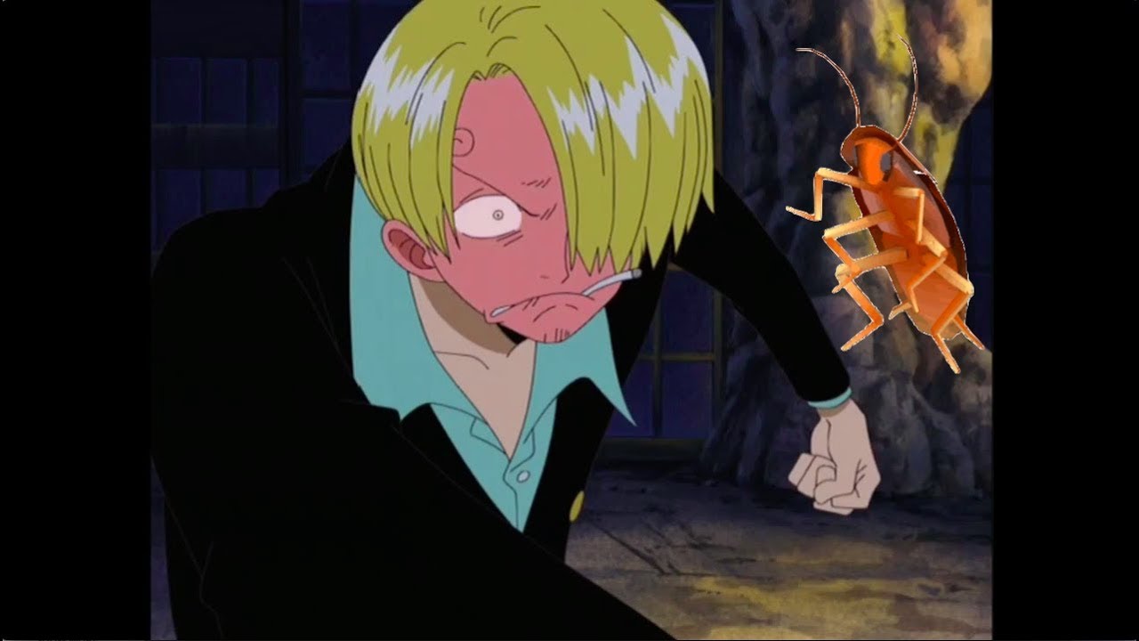 Sanji Gets Embarrassed at Cockroach Dial