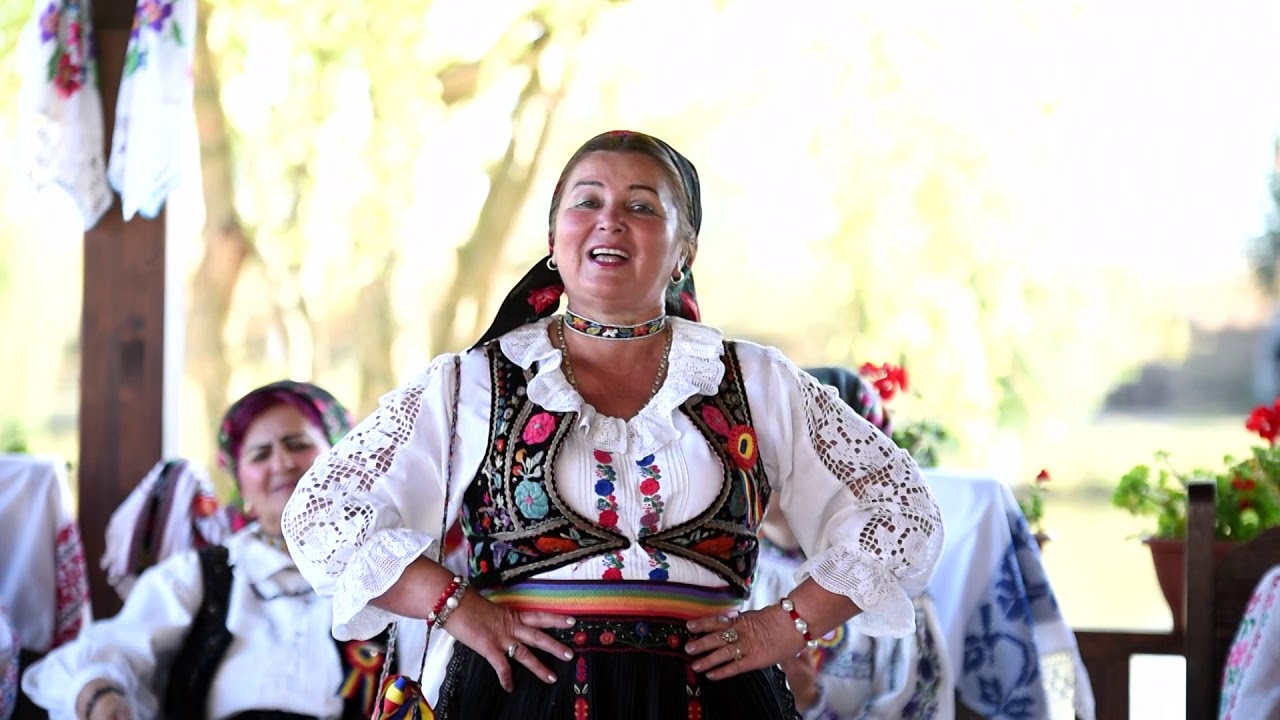 Aurica Vaida   Curge Crisul si vuieste !