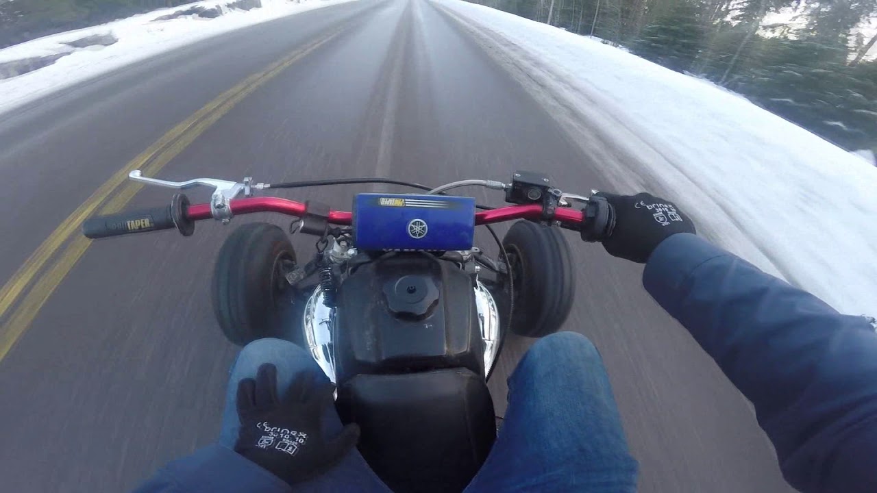472 cheetah cub Yamaha banshee Ensi testi ajo