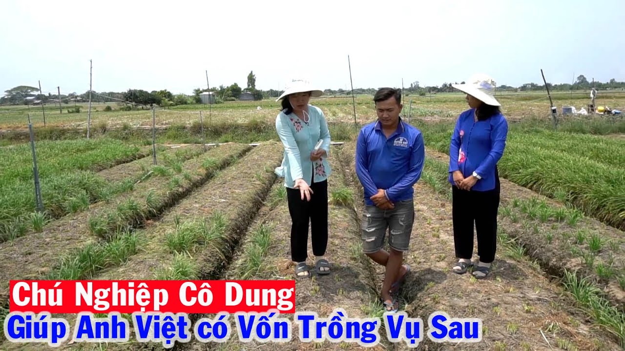 Thanh Niên Việt trồng Hẹ bán Không Được Nên Quyết Định cho Từ Thiện được Chú Nghiệp Cô Dung giúp Vốn