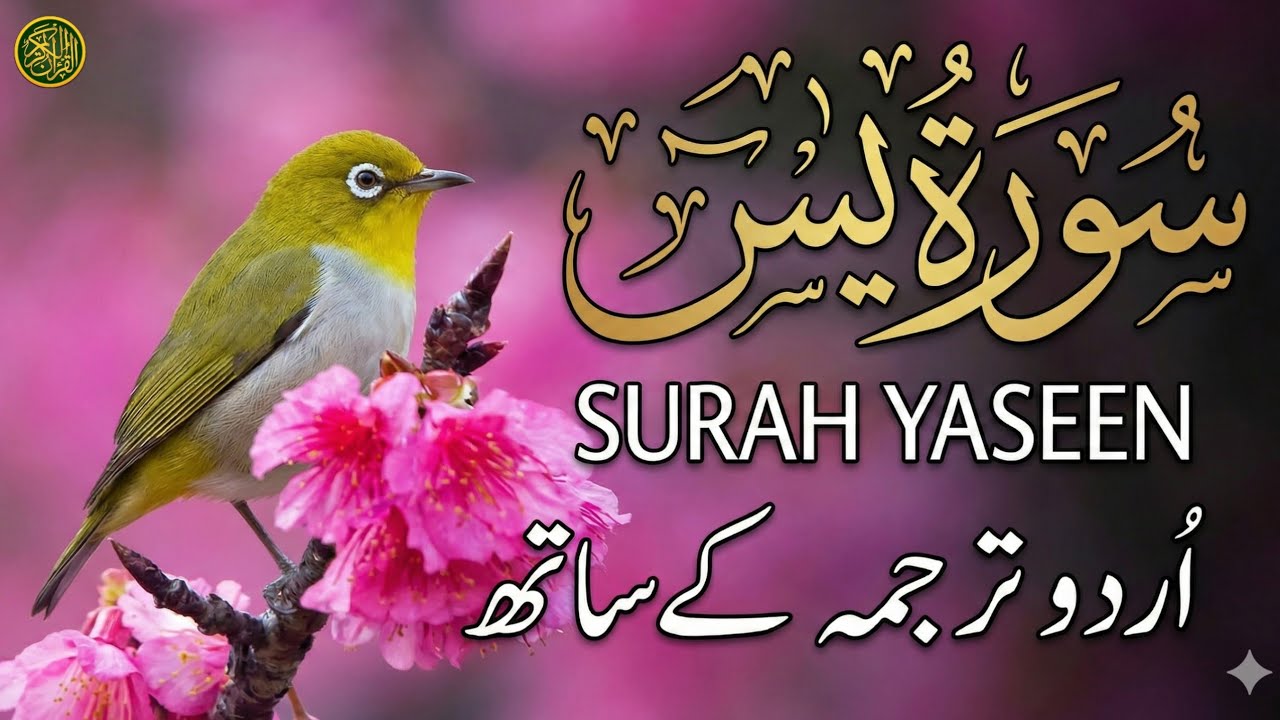 Surah Yaseen (سورة يس) - Beautiful Recitation with Urdu Translation | Qari Mansoor Ghaznavi | EPs 46