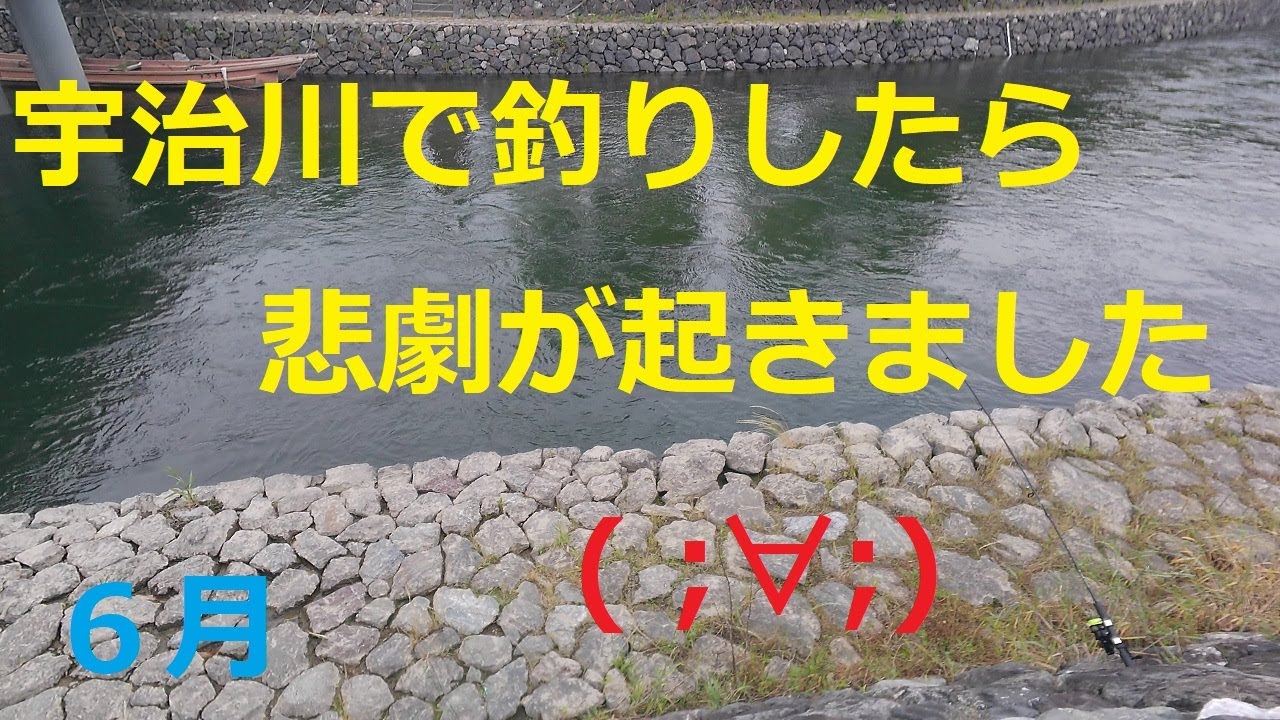 宇治川で釣りしたら悲劇がおきました(;O;)