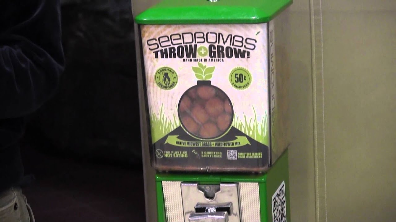 Wild Flower Seeds... They're the Bomb!