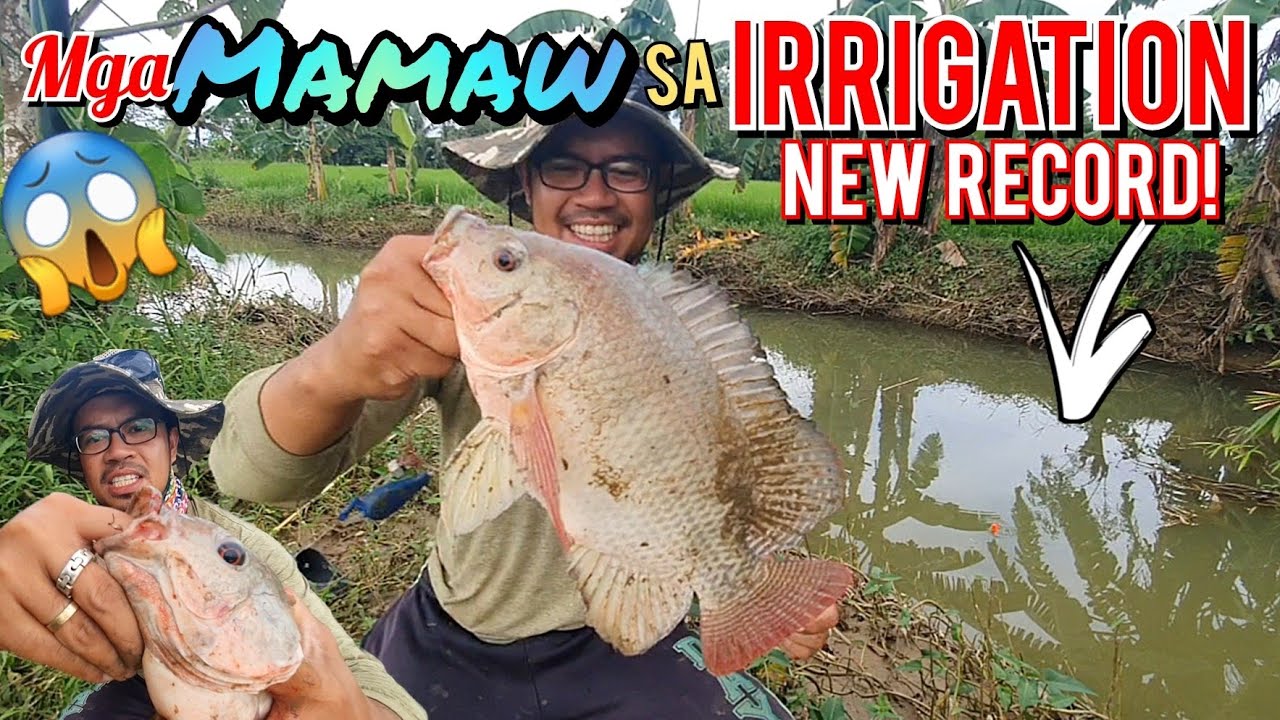 NANGINGINIG AKO SA PAGKABIGLA! HINDI KO TO INASAHAN KAHIT KAILAN | BUHAY PROBINSYA