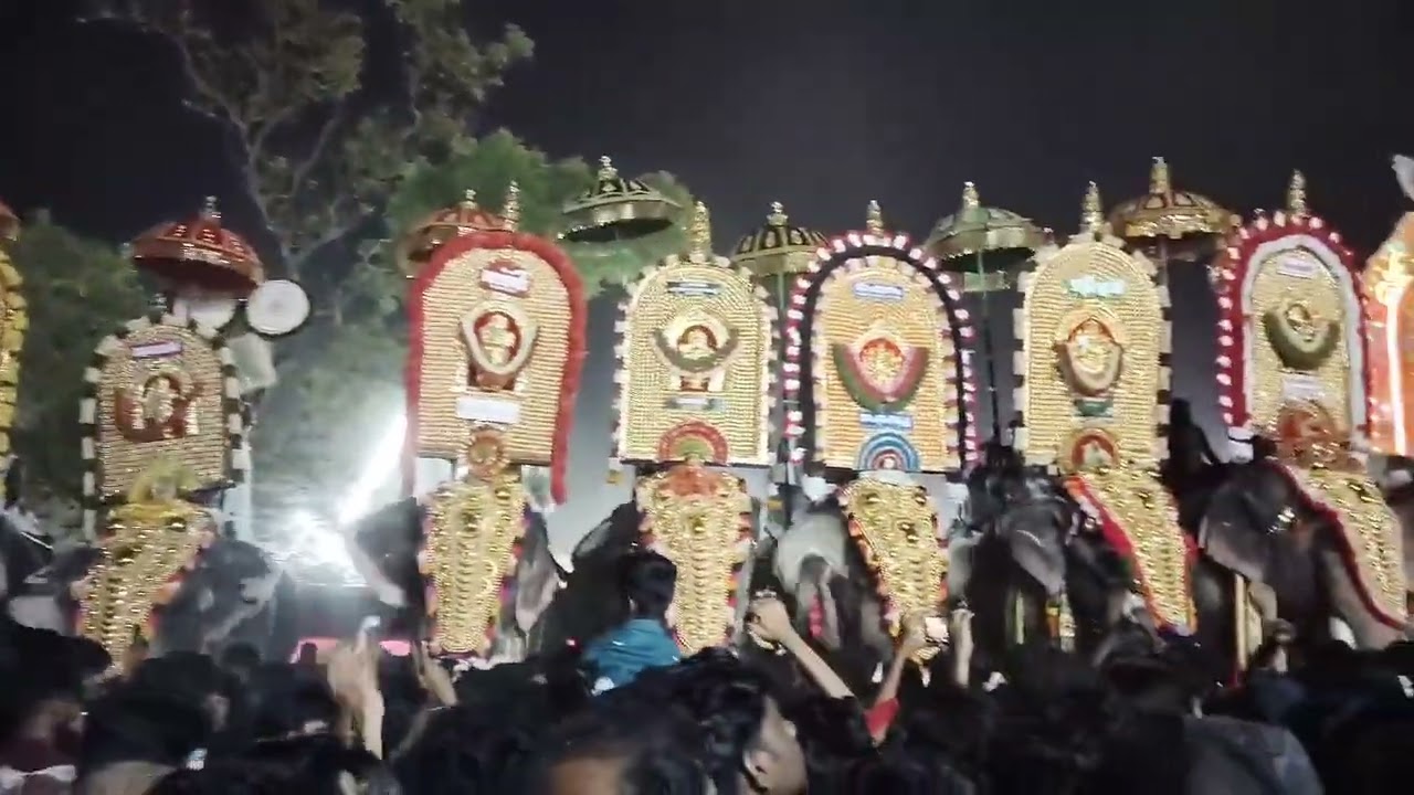 chalissery pooram 2024 #aana#aanapremi #aanapranthan  #keralaelephant #thechikottukavuramachandran