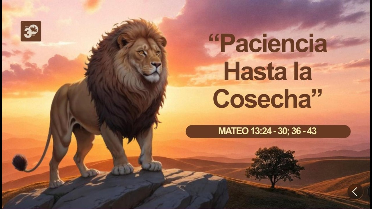 EN VIVO🔴Mateo 13 : 24 - 30  | “Paciencia Hasta la Cosecha” | 01/03/26