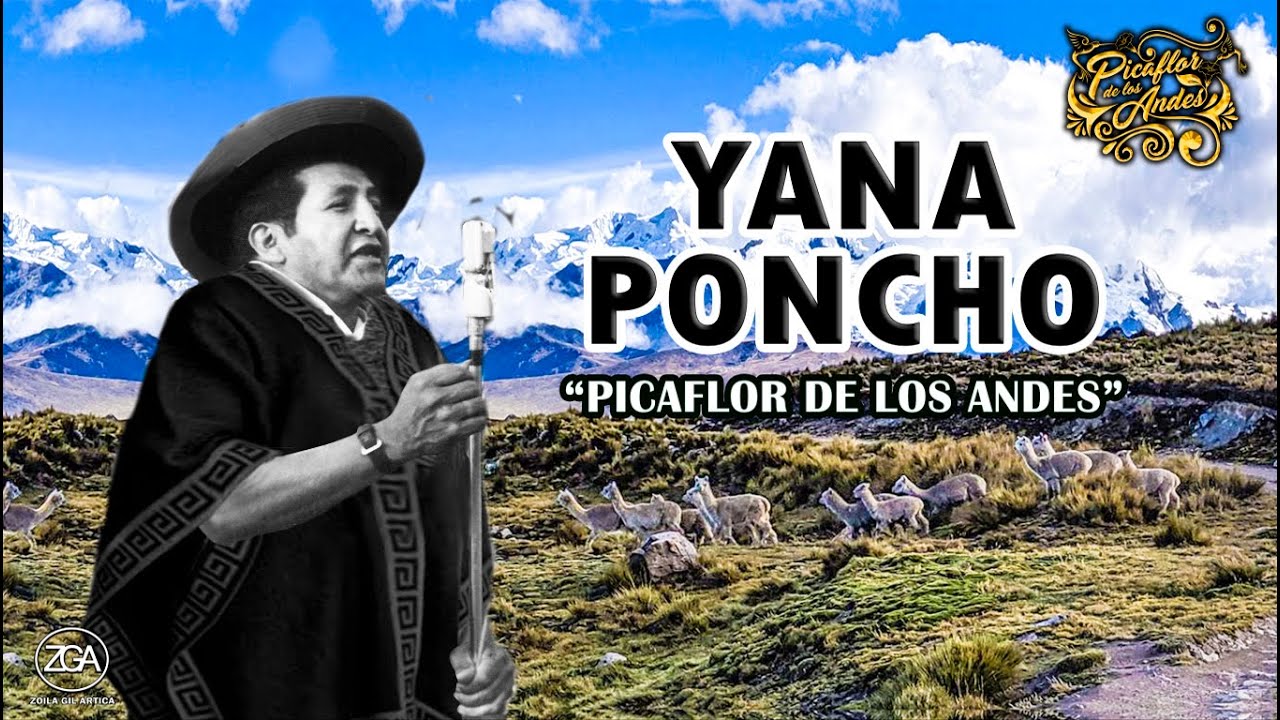 Picaflor de los Andes - YANA PONCHO
