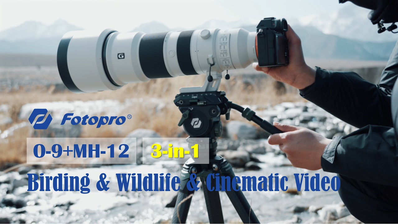 Birding, Wildlife & Cinematic Video in One Setup | Fotopro O-9+MH-12 Tripod Kit